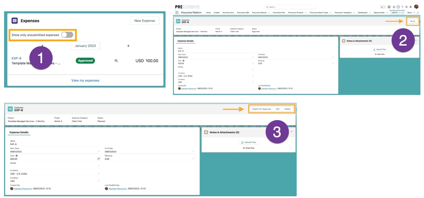 Recall expenses web.jpg