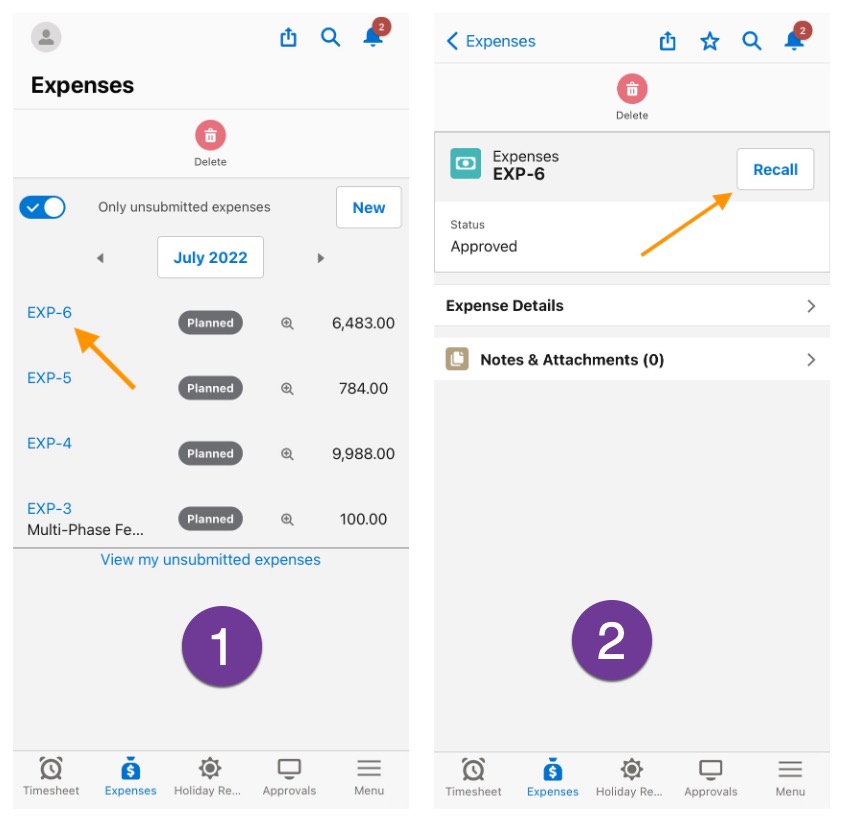 Recall Expense Mobile.jpg