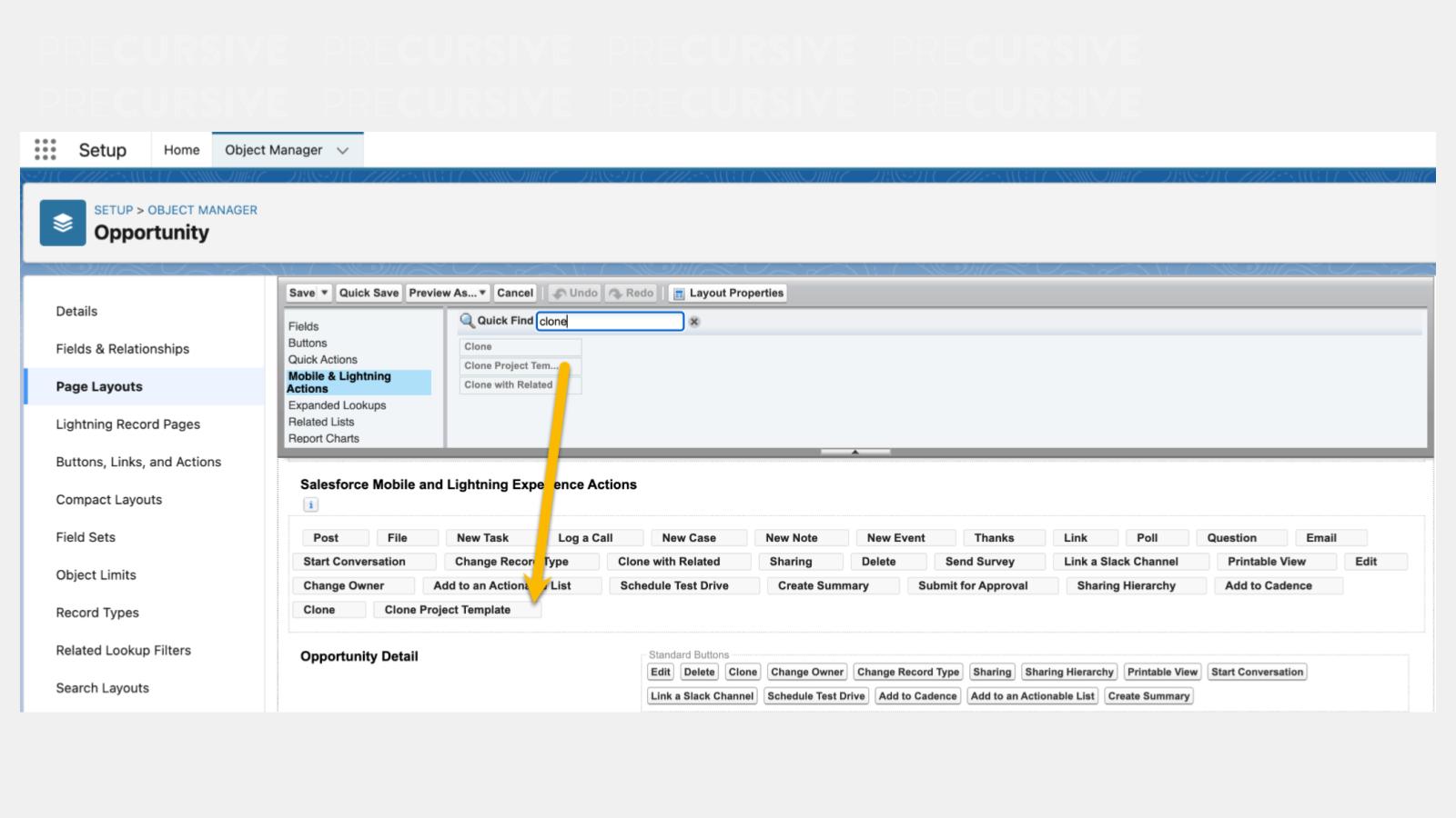 Copy of Knowledge Base Backgrounds (10).jpg