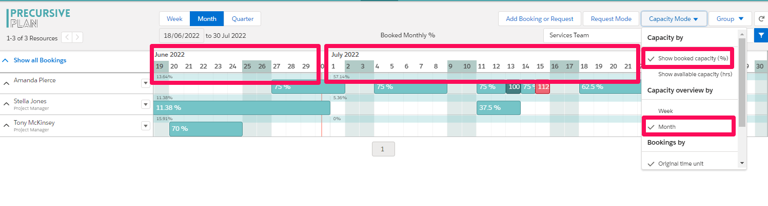 Capacity overview - booked hours per month.png